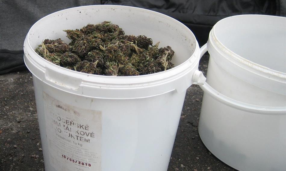 2013-4-10-1046foto Marihuana 20.jpg